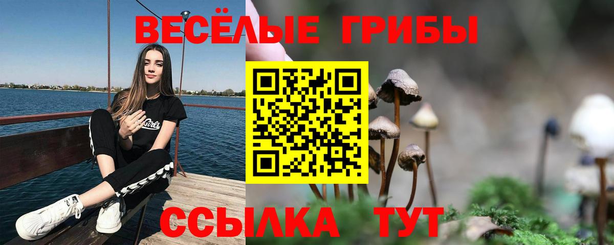 Екатеринбург  Псилоцибиновые грибы мицелий  Вход с VPN  Галлюциногенные грибы Psilocybe 